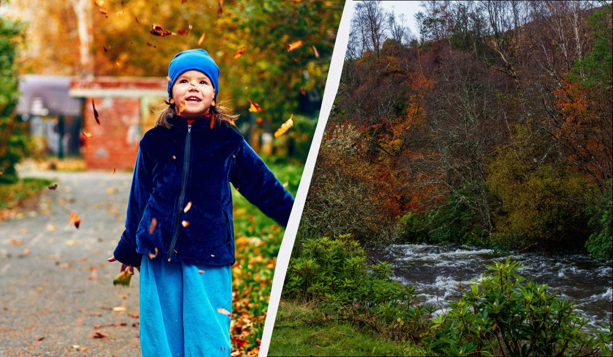 какой сегодня праздник