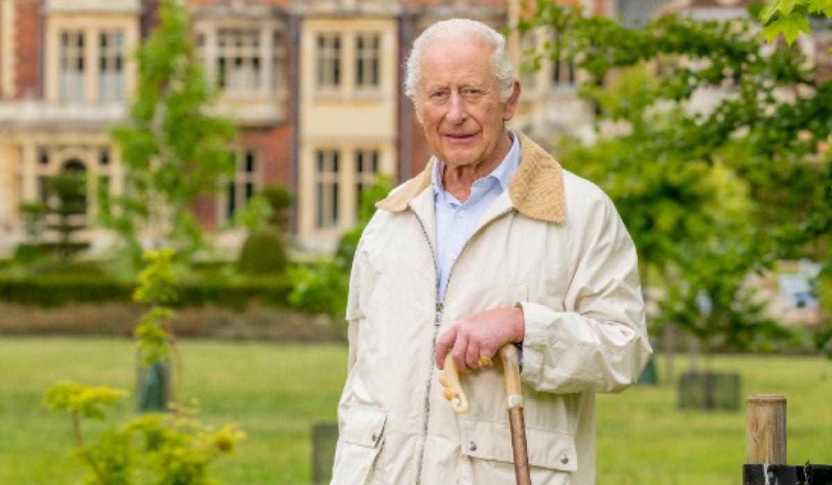 Ффото instagram/theroyalfamily/milliepilkingtonphotography