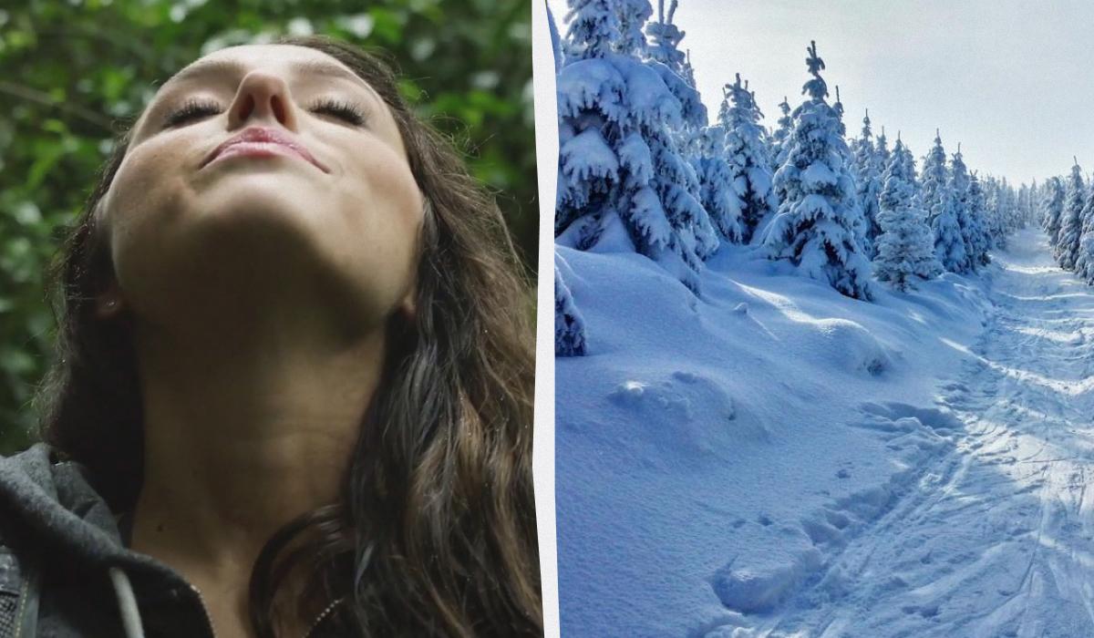 коллаж УНИАН, фото Pixabay коллаж УНИАН, фото Pixabay