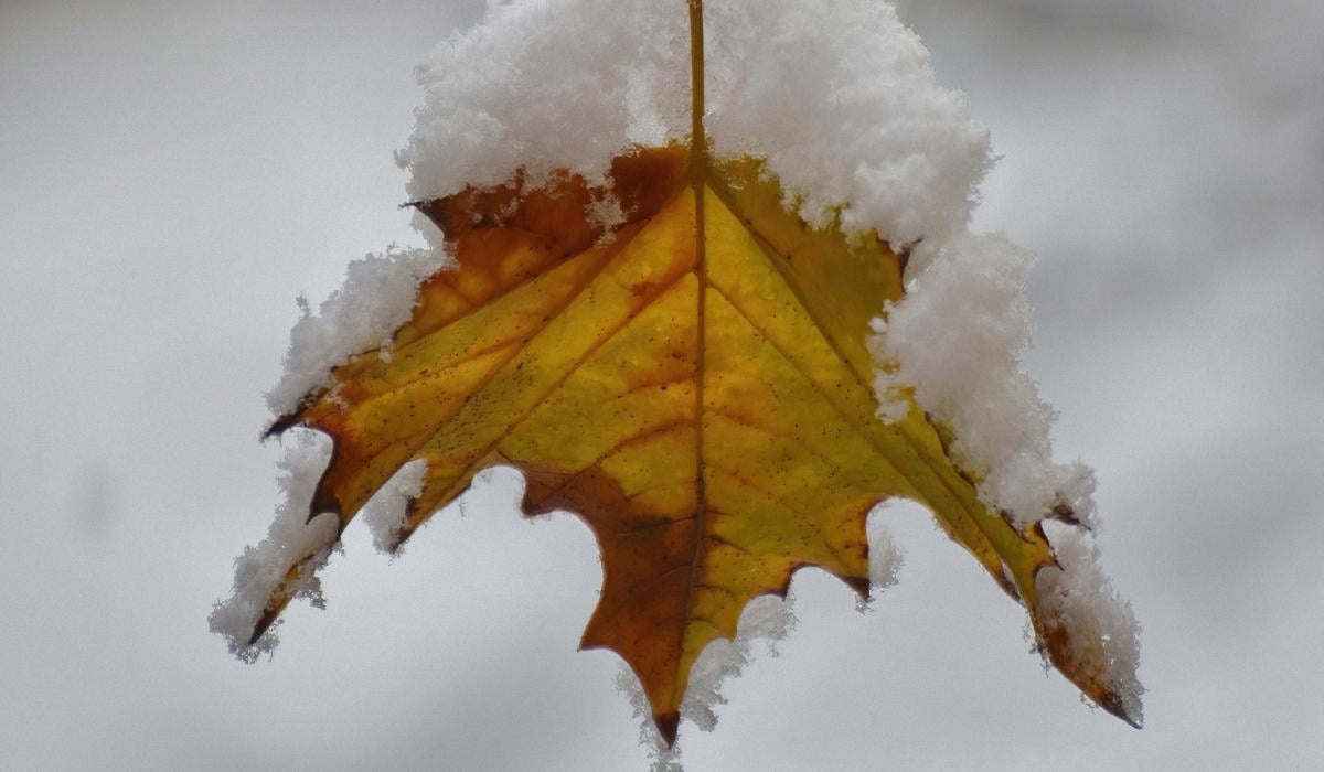 Приметы на сегодня Приметы на сегодня