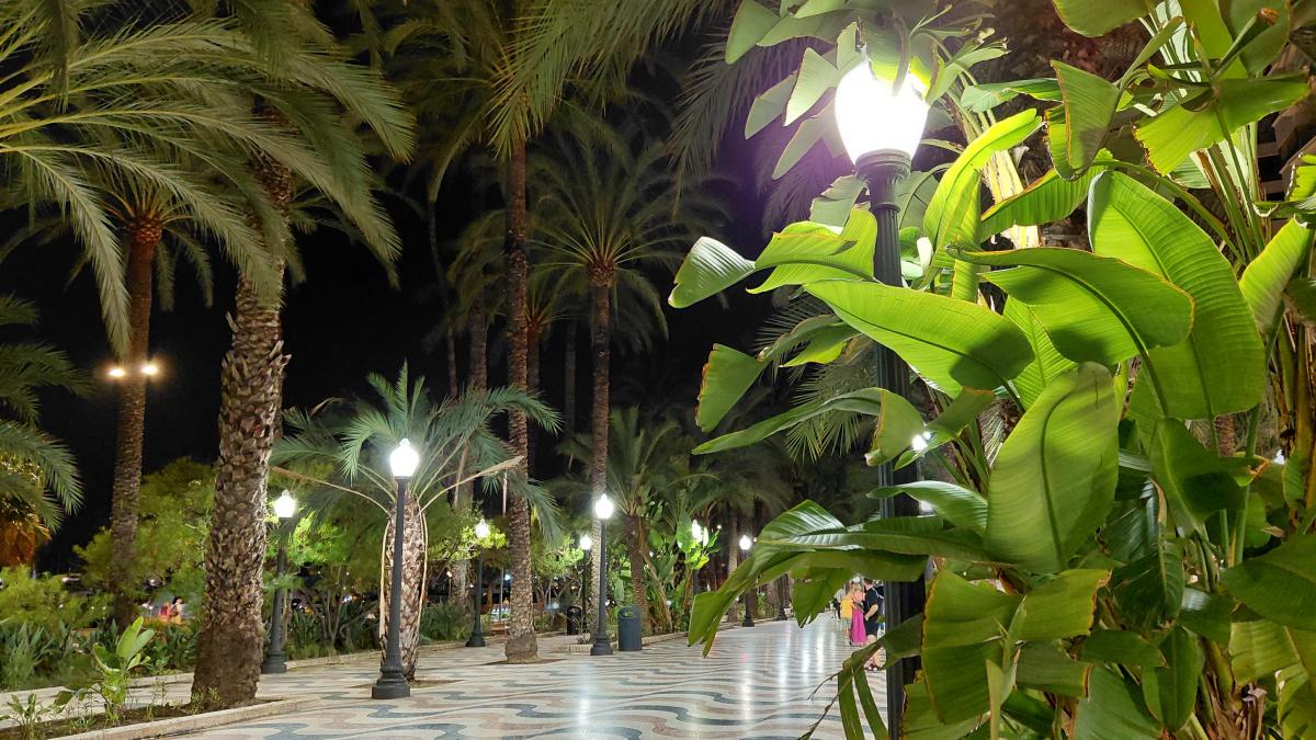 Променада в Аликанте / фото Марина Григоренко