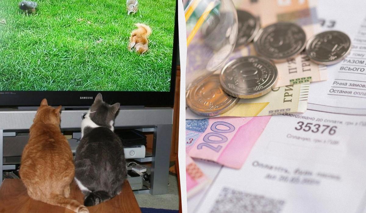 коллаж УНИАН, фото flickr, ua.depositphotos.com коллаж УНИАН, фото flickr, ua.depositphotos.com