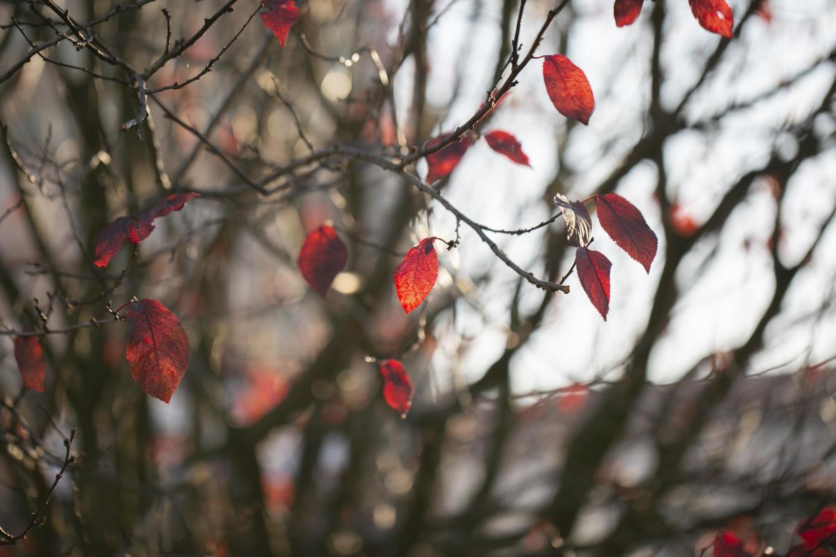 /freepik.com /freepik.com