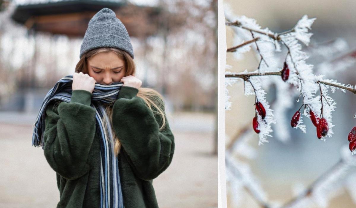 Otto tonalità di moda previste per l'inverno