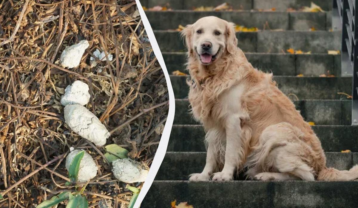 L'importanza di notare i piccoli dettagli che spesso passano inosservati