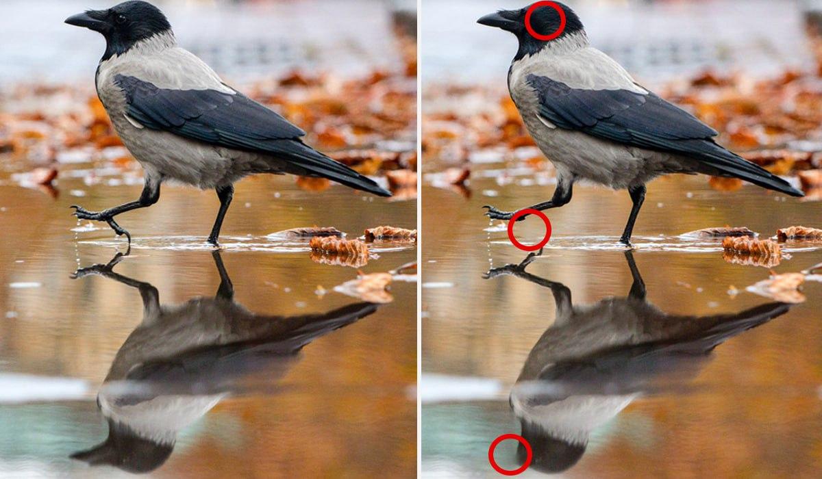 коллаж УНИАН, фото УНИАН коллаж УНИАН, фото УНИАН