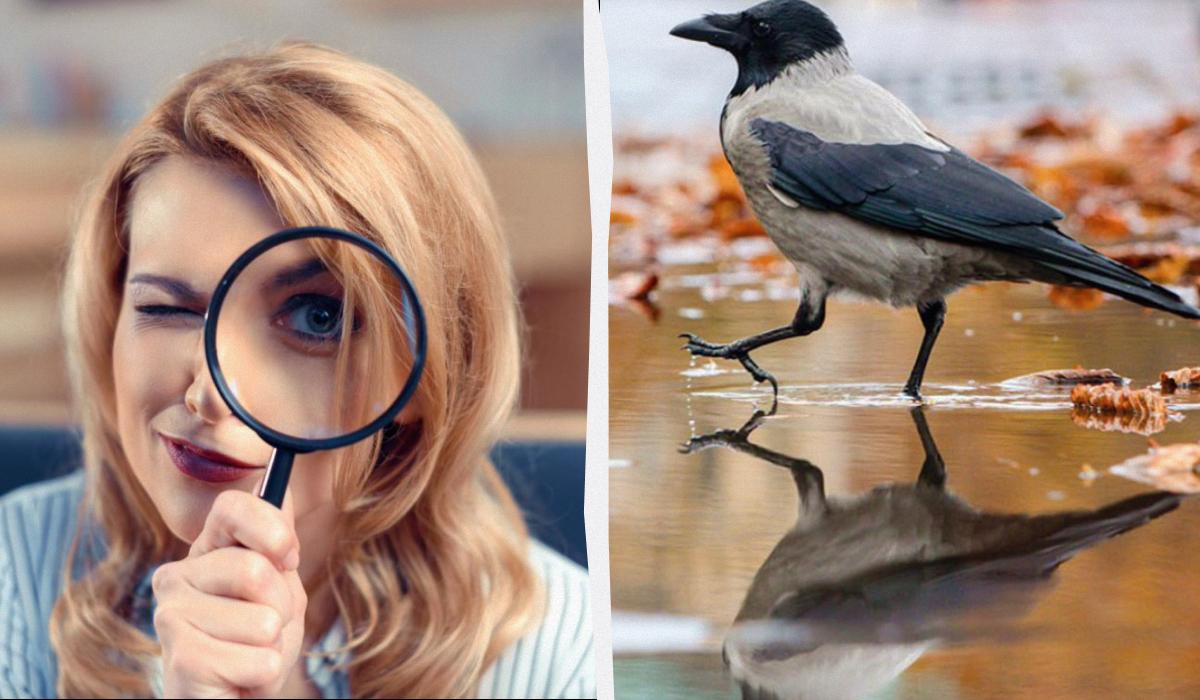 Чколаж УНИАН, фото УНИАН, ua.depositphotos.com Чколаж УНИАН, фото УНИАН, ua.depositphotos.com