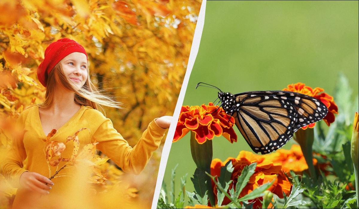 Tradizione del 24 novembre: semina invernale e preghiera per il benessere femminile
