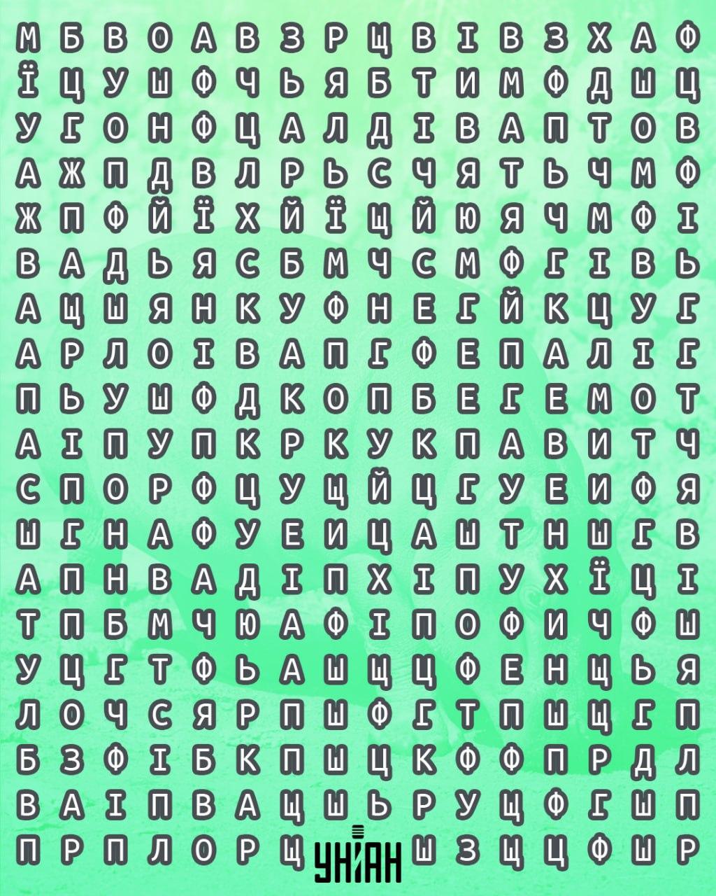 колаж УНІАН