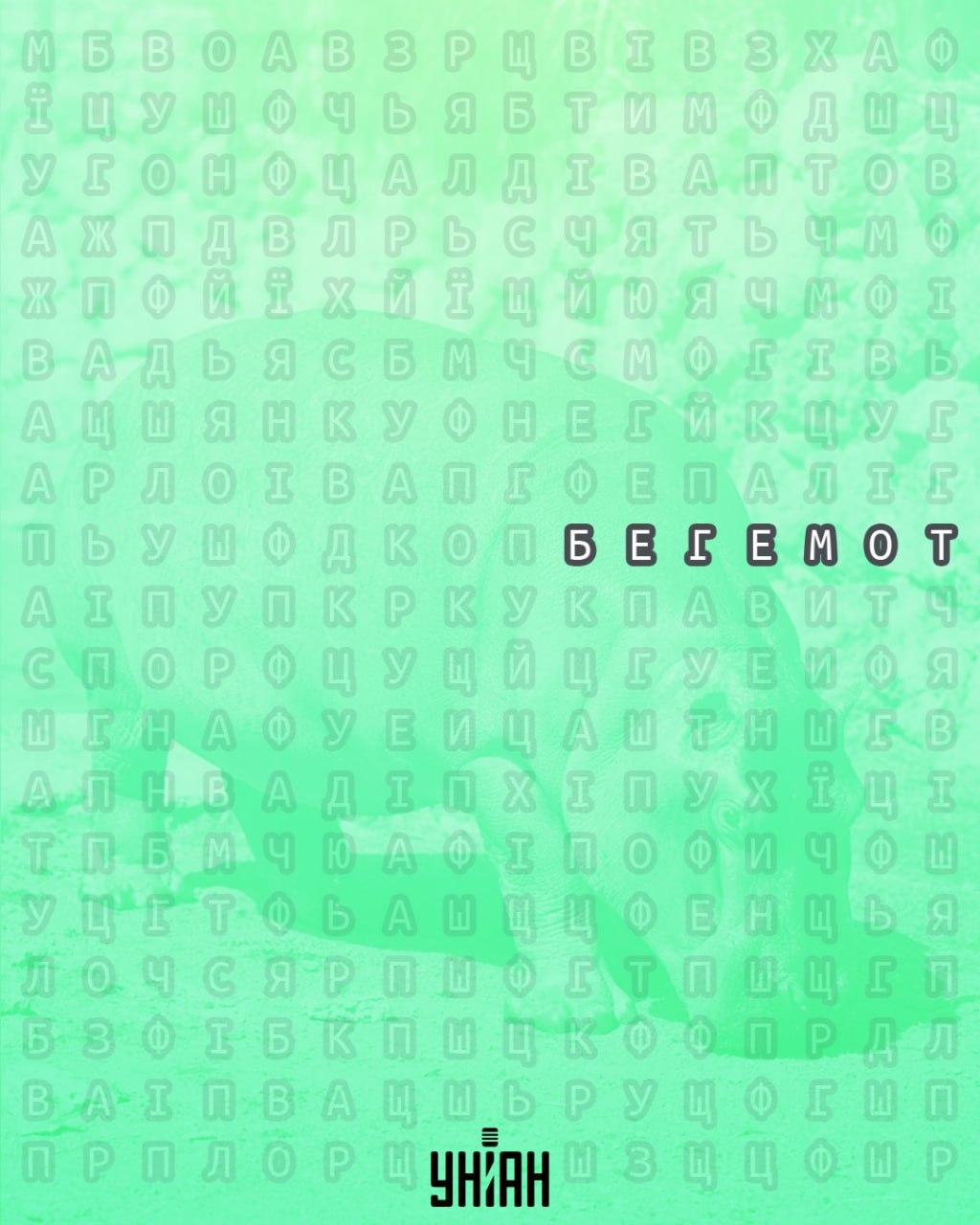 колаж УНІАН