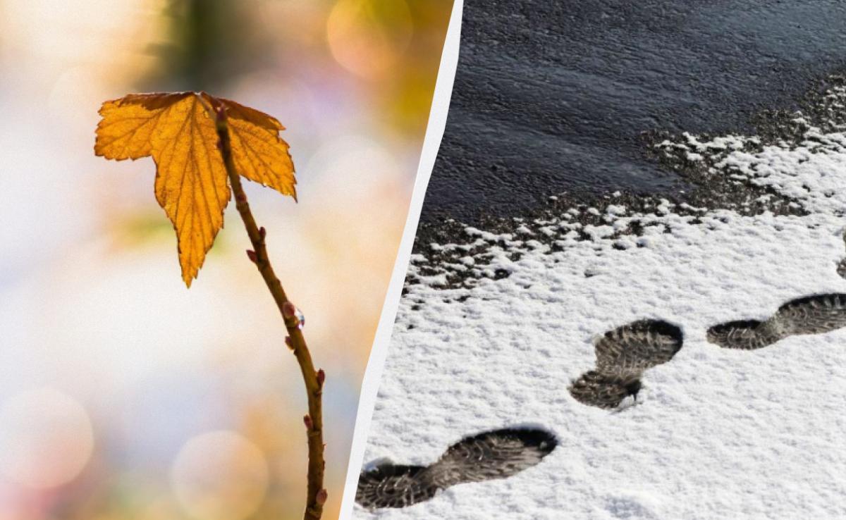 Previsioni per il 21 novembre: temperature più alte e neve bagnata in Ucraina