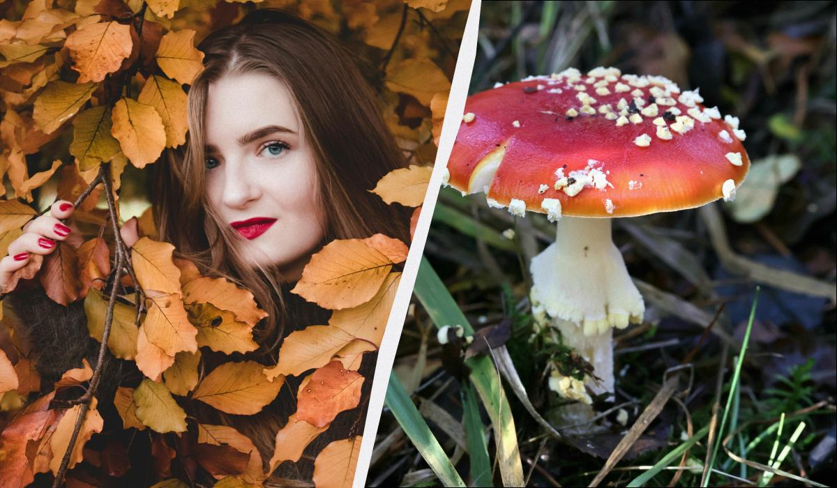 какой сегодня праздник