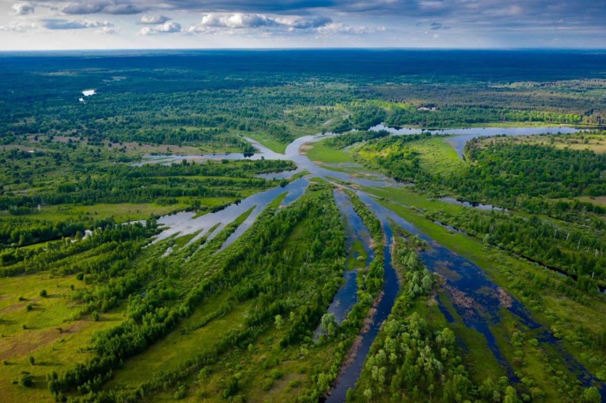 Можливо, що наслідки "господарювання" росіян у 2022 році в зоні відчуження потонули, адже поблизу - болотна система / фото - Чорнобильський радіаційно-екологічний біосферний заповідник