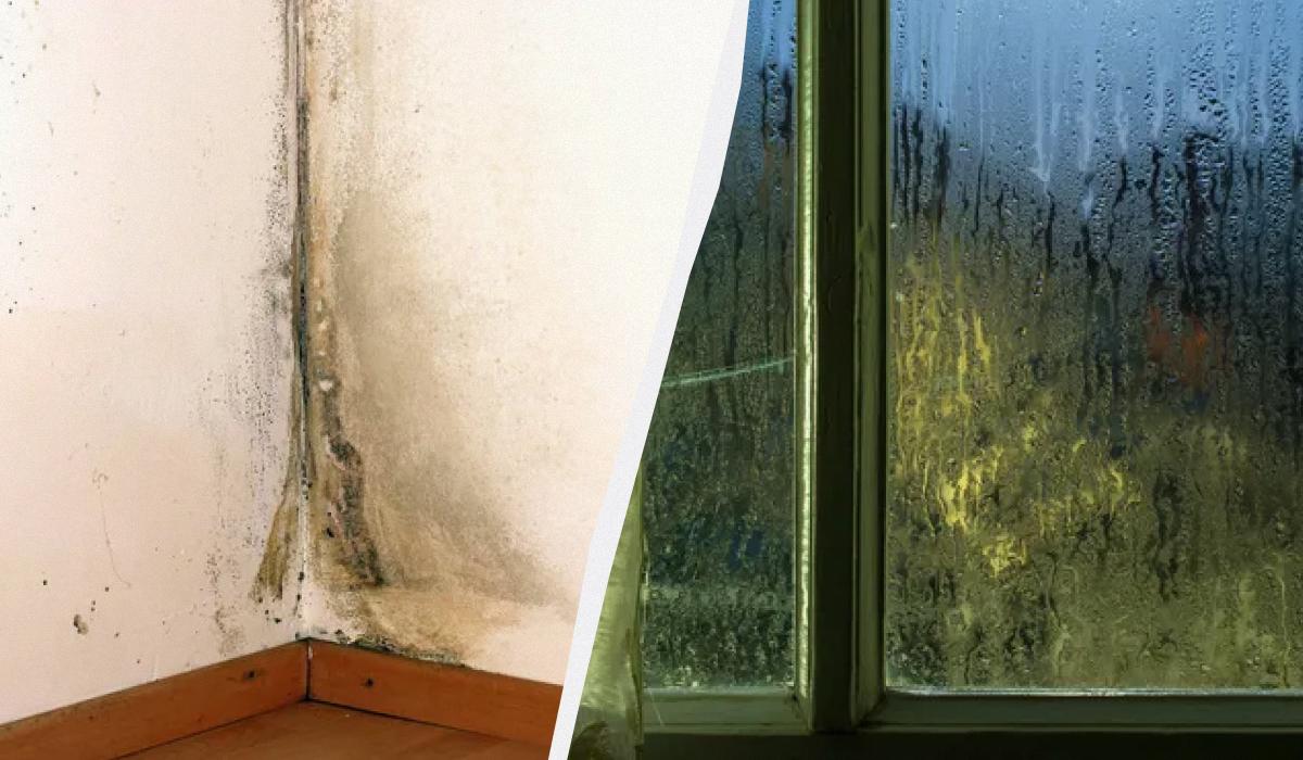 як позбутися конденсату на вікнах