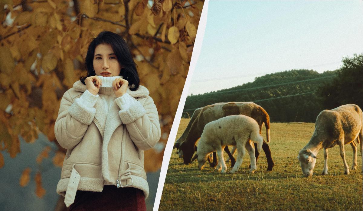 яке сьогодні свято