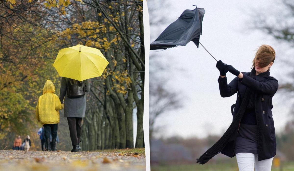 /коллаж УНИАН, фото ua.depositphotos.com /коллаж УНИАН, фото ua.depositphotos.com