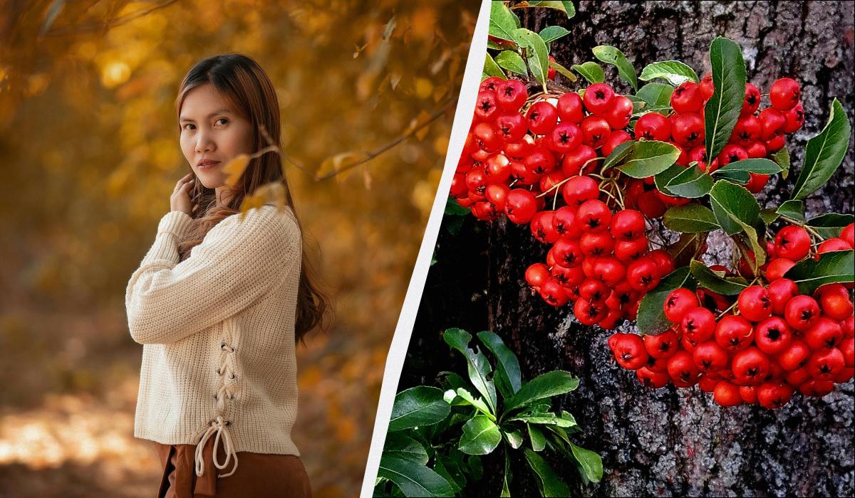 яке сьогодні свято яке сьогодні свято