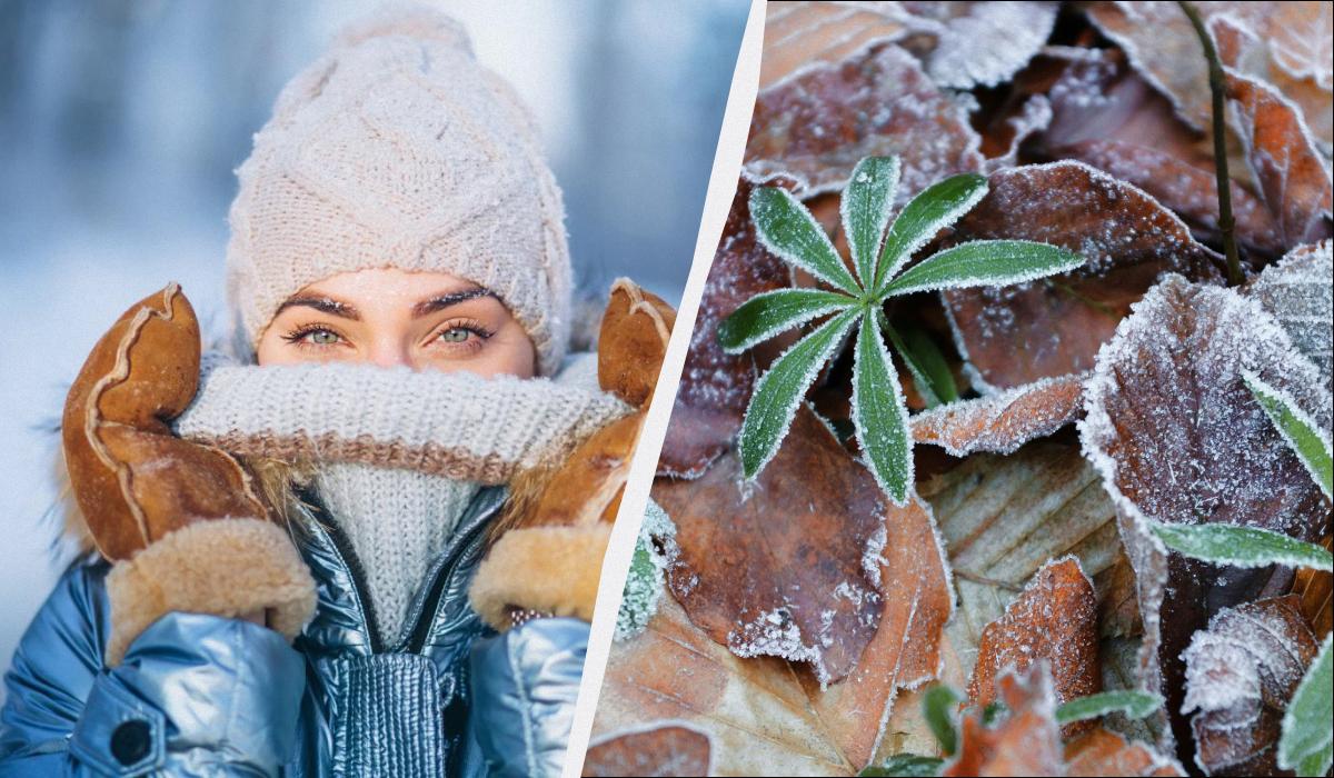 какой сегодня праздник какой сегодня праздник