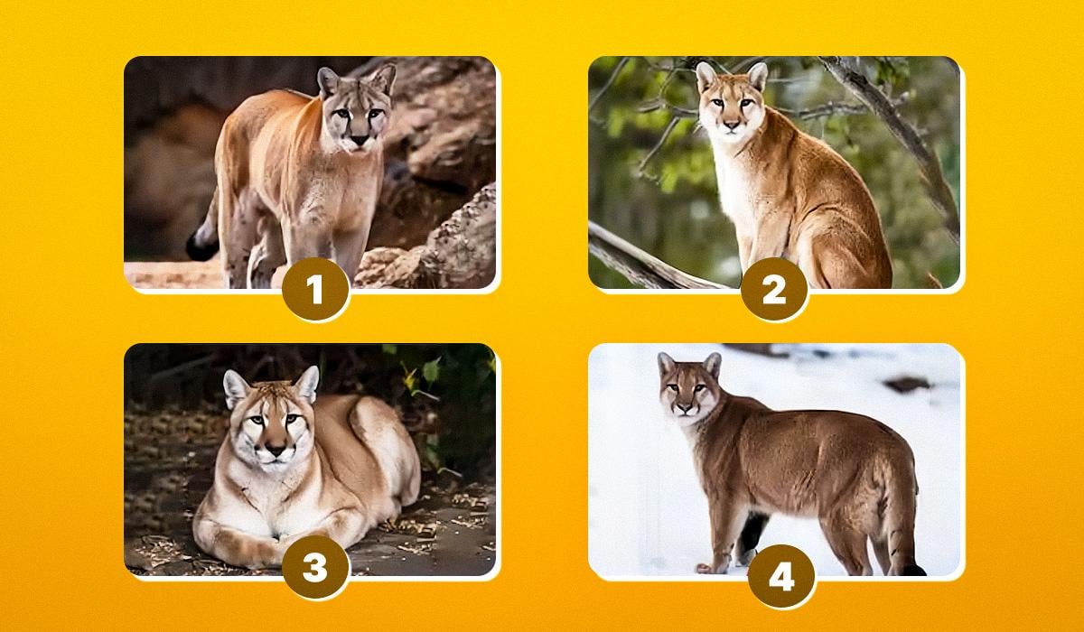 тест на характер