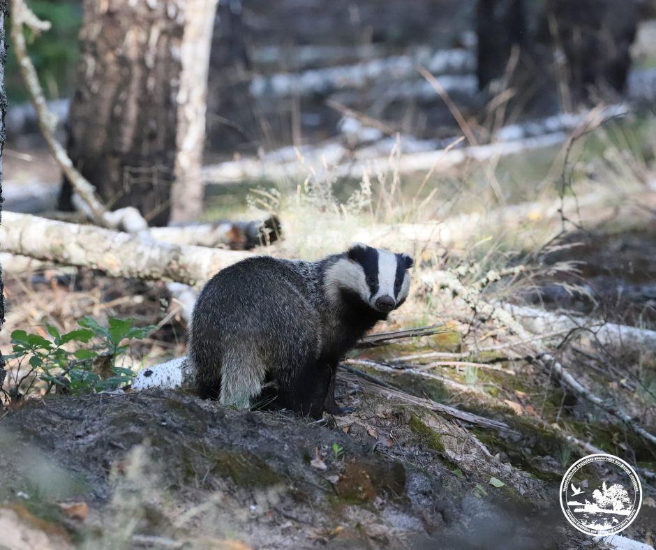 Фото Эндрю Саймона Фото Эндрю Саймона