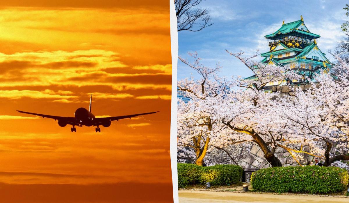 Япония предлагает некотуристам бесплатные билеты на самолеты / коллаж УНИАН, фото REUTERS, ua.depositphotos.com Япония предлагает некотуристам бесплатные билеты на самолеты / коллаж УНИАН, фото REUTERS, ua.depositphotos.com
