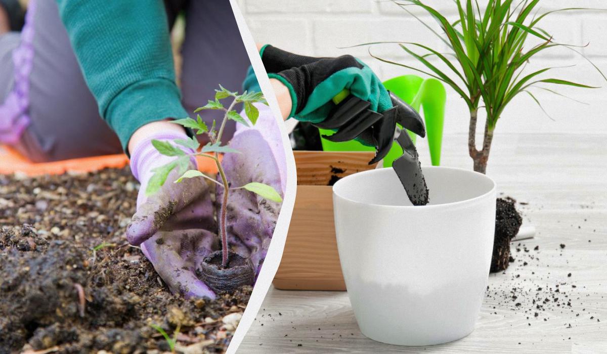 місячний посівний календар-таблиця