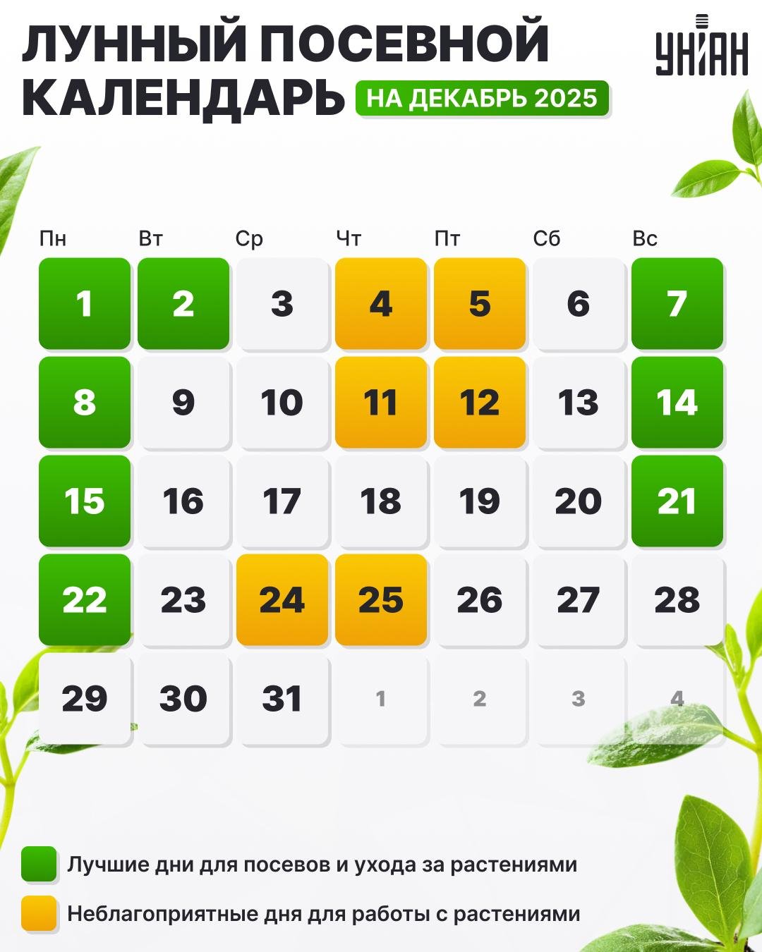 Посевной календарь на 2025 год