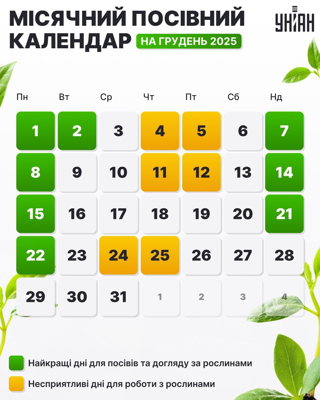 Посівний календар на 2025 рік