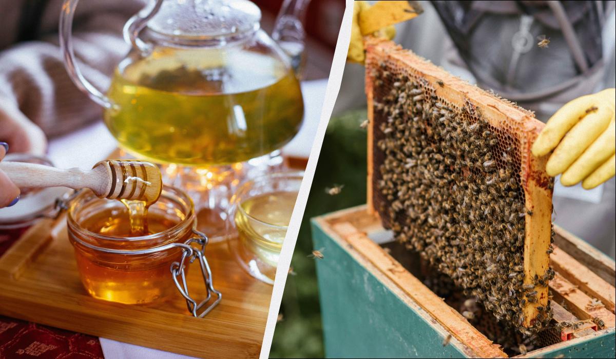 який мед найкорисніший