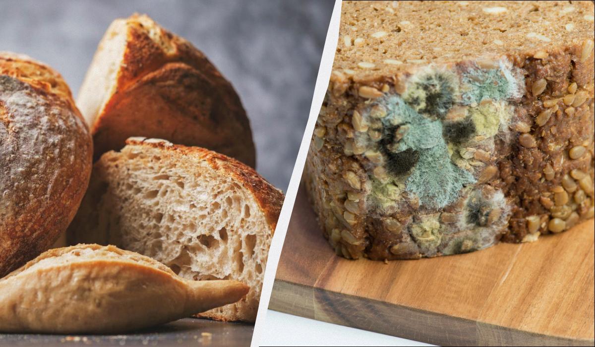 почему хлеб черствеет