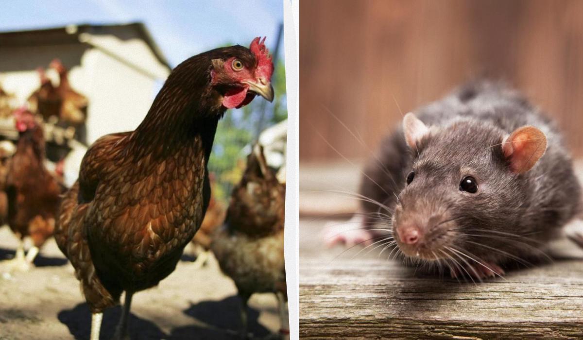 5 заголовків новин 1975 року, у які важко навіть повірити сьогодні