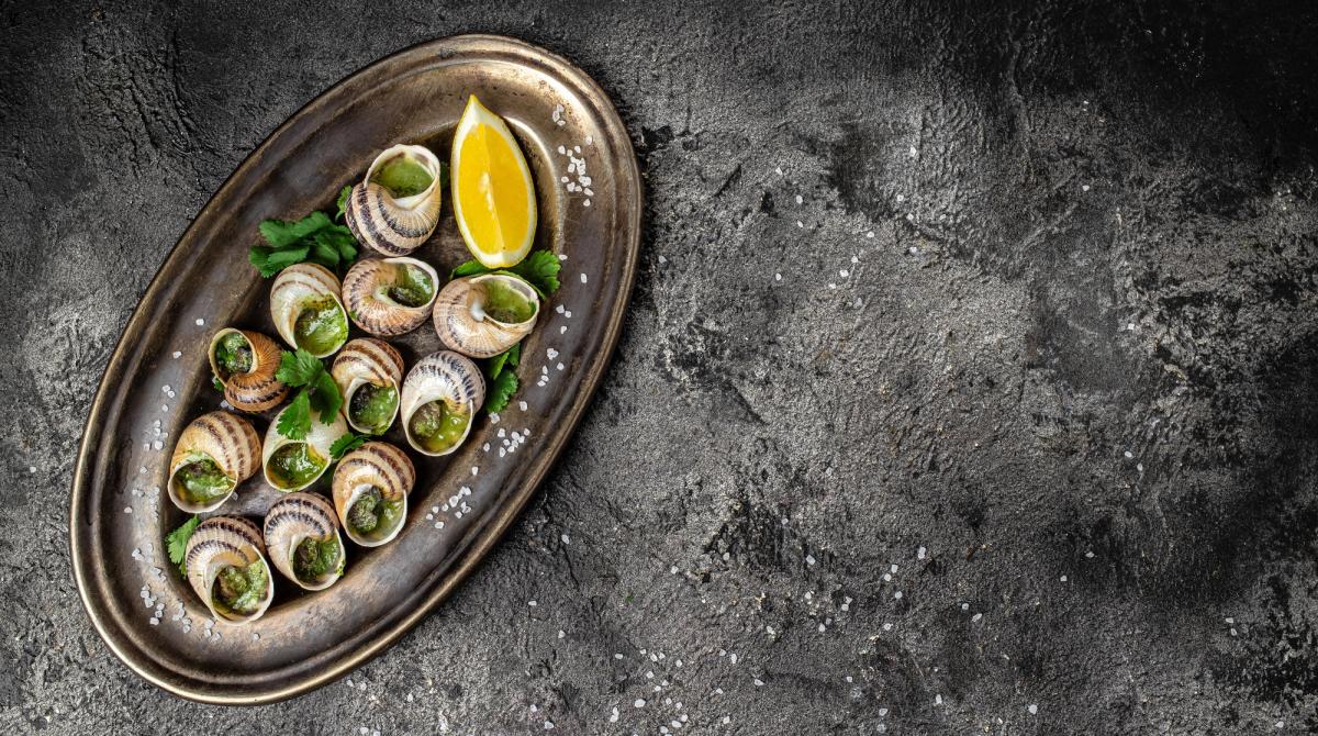 Равлики з ферми выдправлялися до ресторнаыв Мышлен / фото ua.depositphotos.com