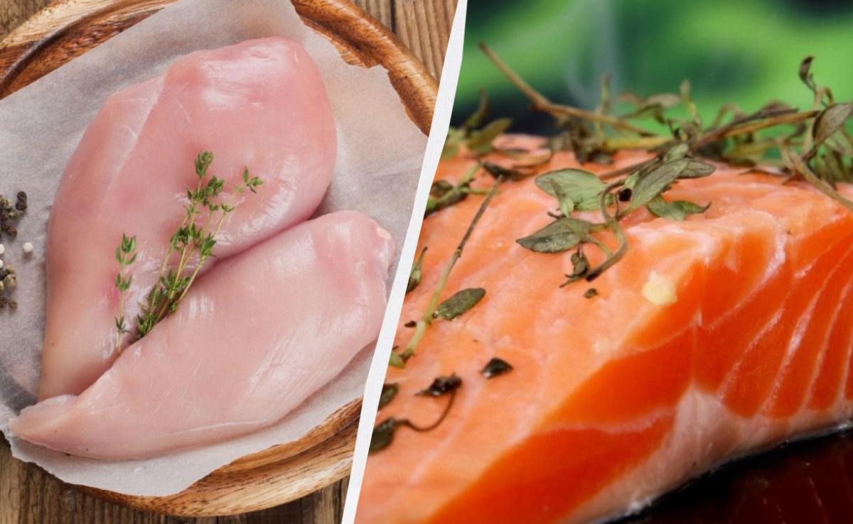 Pollo o salmone: confronto nutrizionale per salute e forma fisica