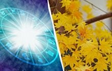 Чего вам суждено достичь в ноябре: нумерологический гороскоп по дате рождения