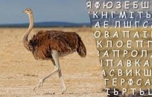 Только люди с высоким IQ найдут слово "страус" за 10 секунд: хитрая головоломка