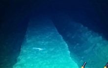 В 1979 году горнодобывающее испытание опустошило дно Тихого океана: через 44 года ученые были ошеломлены