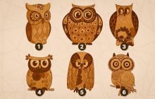 Какую сову вы выберете: тест на умение решать проблемы