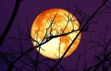 Доленосна повня 5 листопада: хто із знаків Зодіаку отримає шанс змінити життя