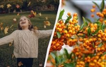 Что запрещено делать женщинам: праздники 6 ноября 2025 и приметы на удачу