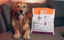 Practik Simple: 10 років довіри та нові формули, створені в Україні