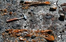 Учені знайшли скам'янілості динозаврів віком у мільйони років за допомогою лишайників