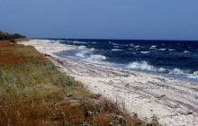 Окупанти фактично знищили унікальну Кінбурнську косу, - Плетенчук