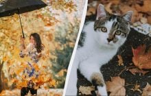 Запрещено делать 3 вещи - навлечете горе: приметы про праздник 7 ноября 2025