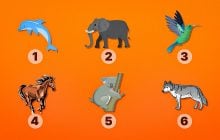 Хто з духів-тварин захищає вас від бід: незвичайний тест на особистість