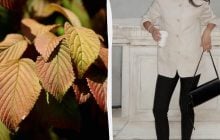 Легінси з 80-х отримали друге дихання: як їх стилізувати