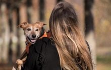 Сколько следует гулять с собакой на улице: ветеринары дали четкий ответ