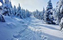 Где зимой найти самый мягкий снег в мире: ученые дали ответ