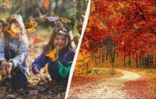 Удома заборонено робити дві дії: про що треба знати у свято 10 листопада 2025