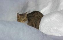 13 січня на українців чекають сильні морози