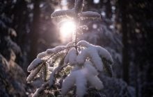 В неділю Україну накриє мокрим снігом і дощами: де чекати опадів